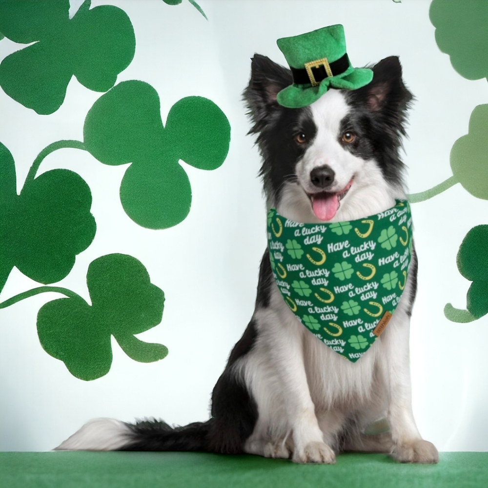 ☘St. Patrick's Day Dog Bandanas Reversible Shamrock XL - FREE WITH PET PURCHASE